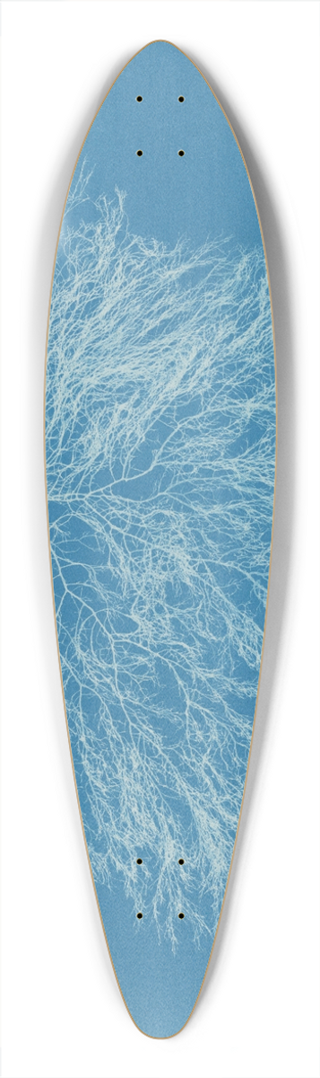 Anna Atkins - Ceramium rubrum 39.3 inch art pintail longboard deck