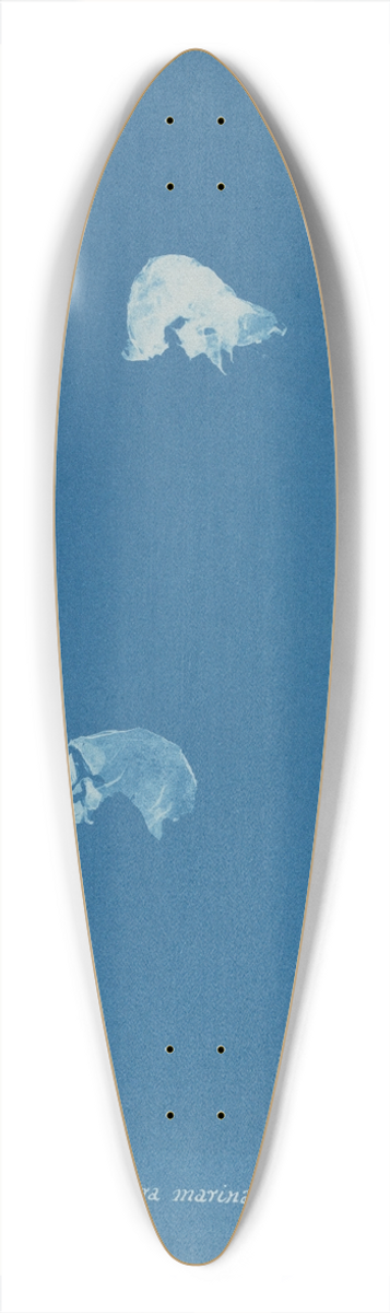 Anna Atkins - Corynephora marina 39.3 inch art pintail longboard deck