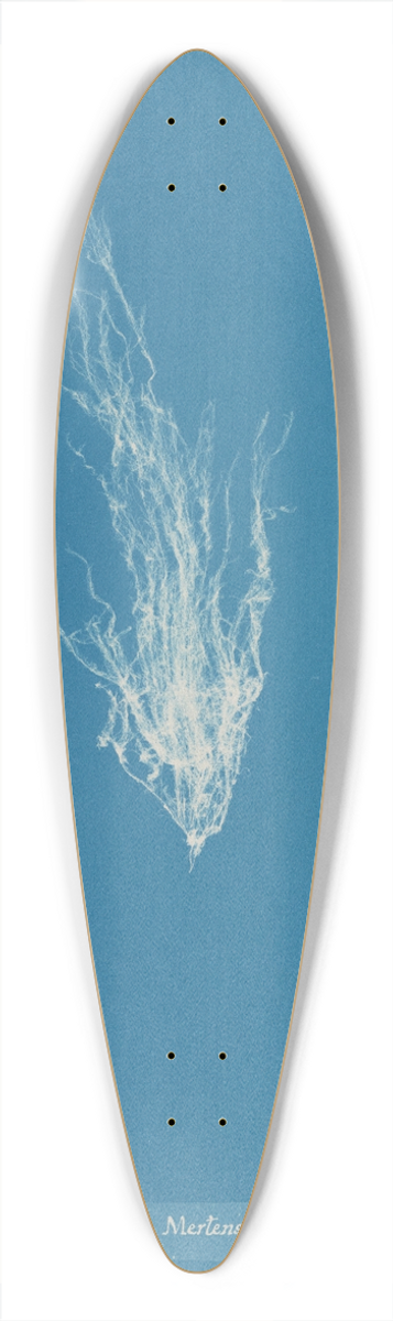 Anna Atkins - Ectocarpus Mertensii 39.3 inch art pintail longboard deck
