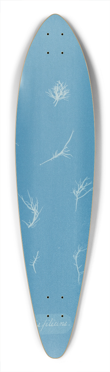 Anna Atkins - Grateloupia filicina 39.3 inch art pintail longboard deck