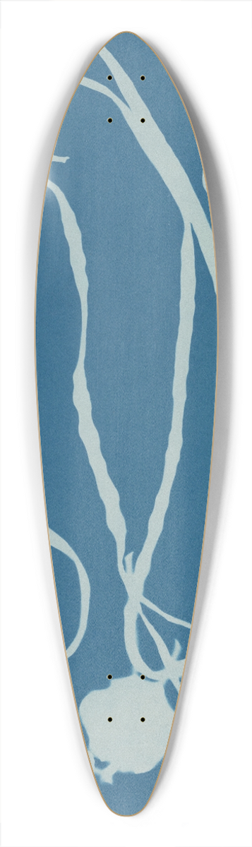 Anna Atkins - Himanthalia lorea 39.3 inch art pintail longboard deck