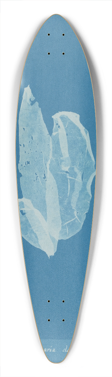 Anna Atkins - Laminaria debilis 39.3 inch art pintail longboard deck