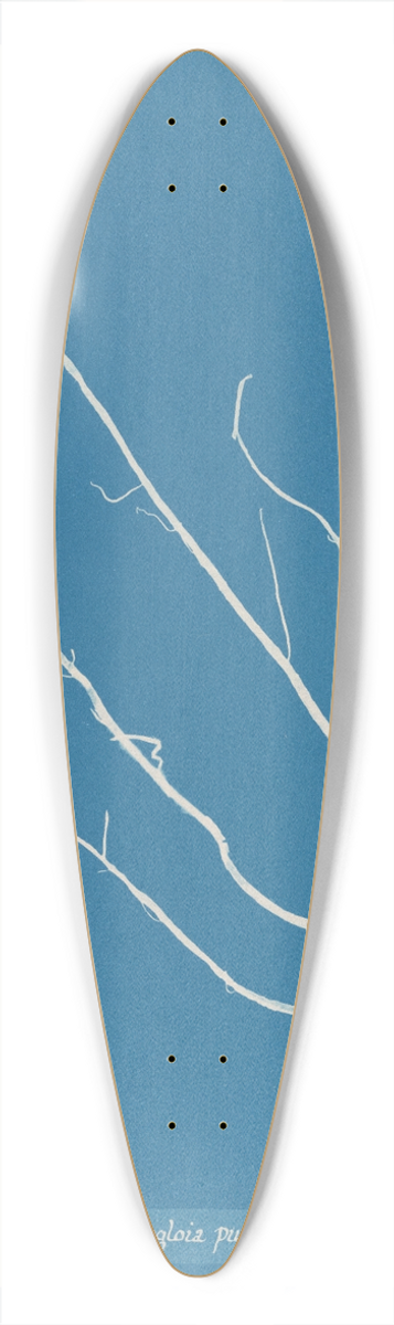 Anna Atkins - Mesogloia purpurea 39.3 inch art pintail longboard deck