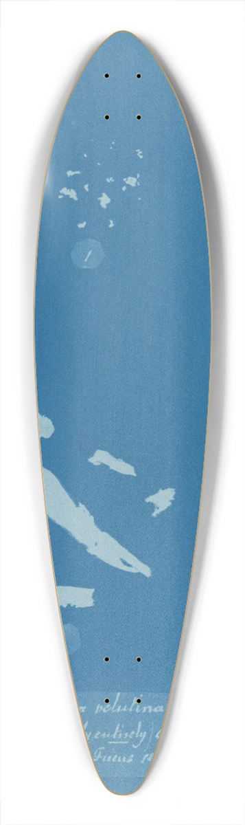 Anna Atkins - Sphacelaria velutina; 1. Tufts (some only entirely) detached; 2. [Tufts] growing on Fucus serratus 39.3 inch art pintail longboard deck