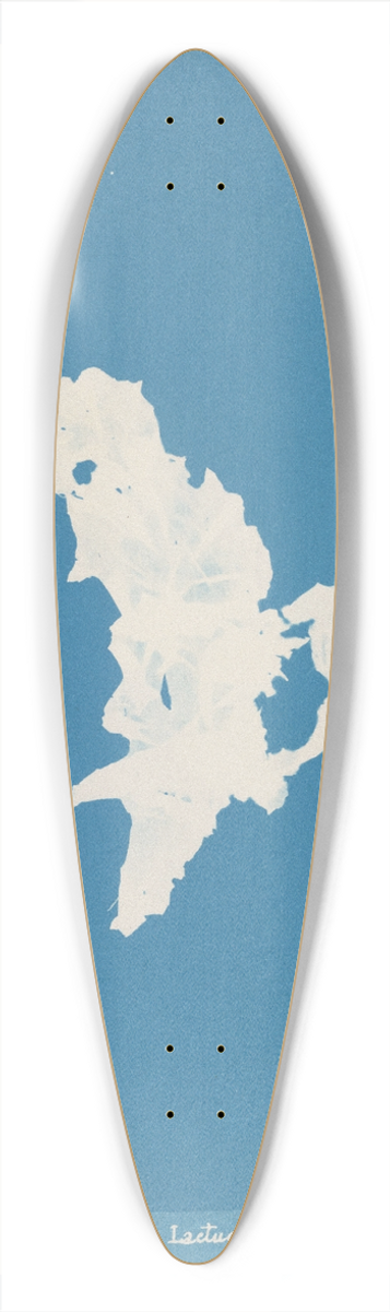 Anna Atkins - Ulva lactuca 39.3 inch art pintail longboard deck