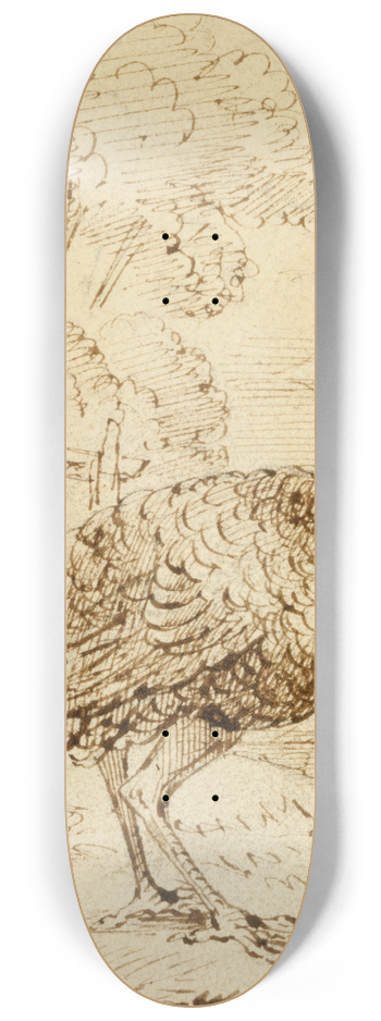Benjamin West - Turkey 8.25 inch art skate deck