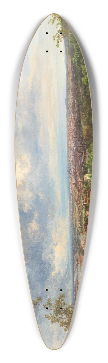 Anton Hlavacek - A View of Vienna 39.3 inch art pintail longboard deck