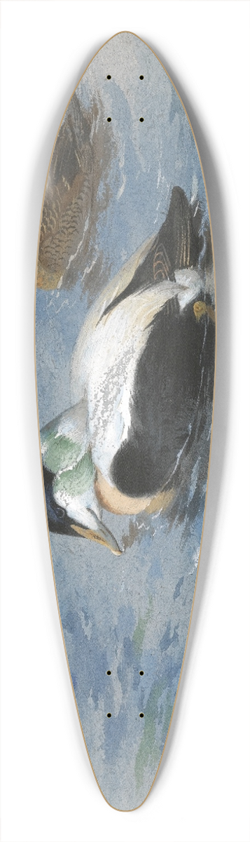 Archibald Thorburn - A Pair Of Eider Ducks 39.3 inch art pintail longboard deck