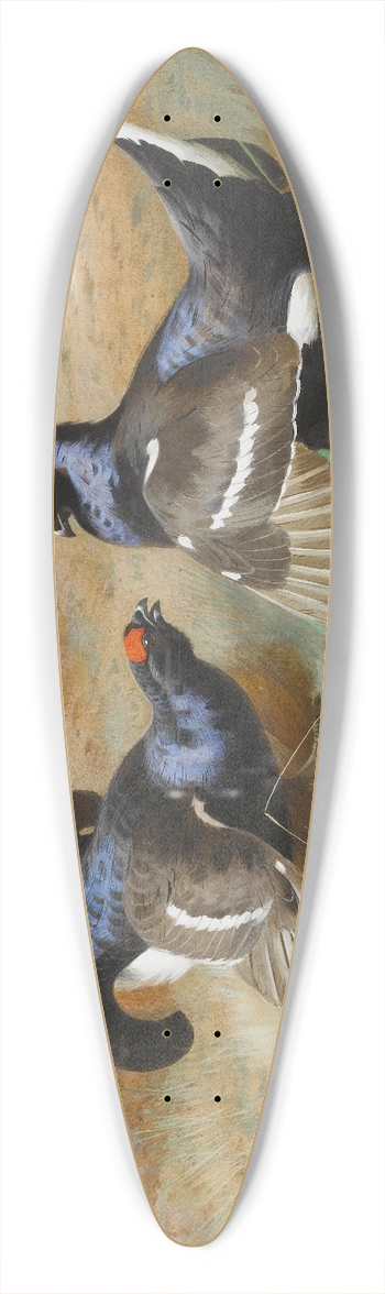 Archibald Thorburn - Blackcocks At The Lek 39.3 inch art pintail longboard deck