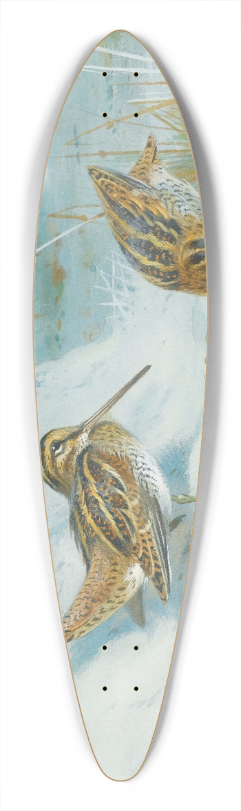 Archibald Thorburn - Frozen Out Snipe 39.3 inch art pintail longboard deck