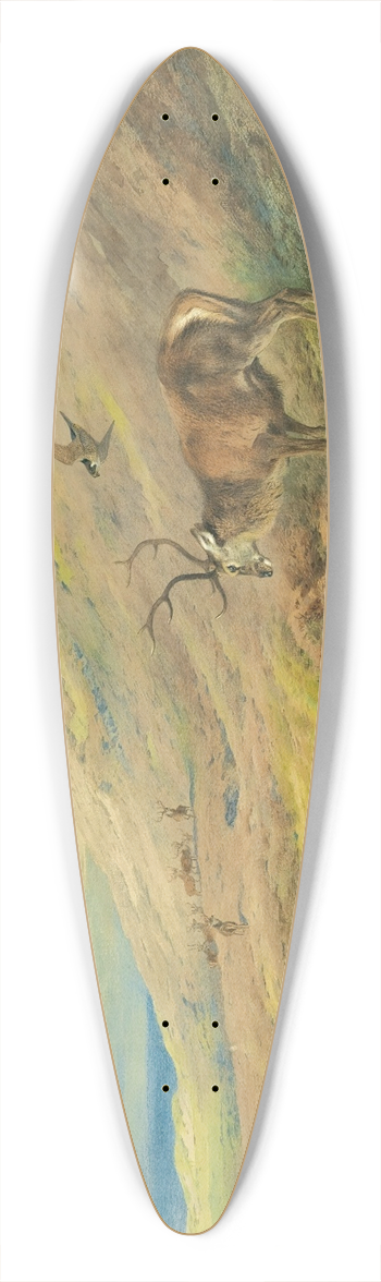 Archibald Thorburn - In The Highlands, Red Stag Mobbed By A Pair Of Peregrines 39.3 inch art pintail longboard deck