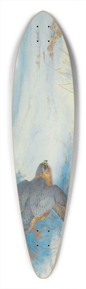 Archibald Thorburn - Merlin And Larks 39.3 inch art pintail longboard deck