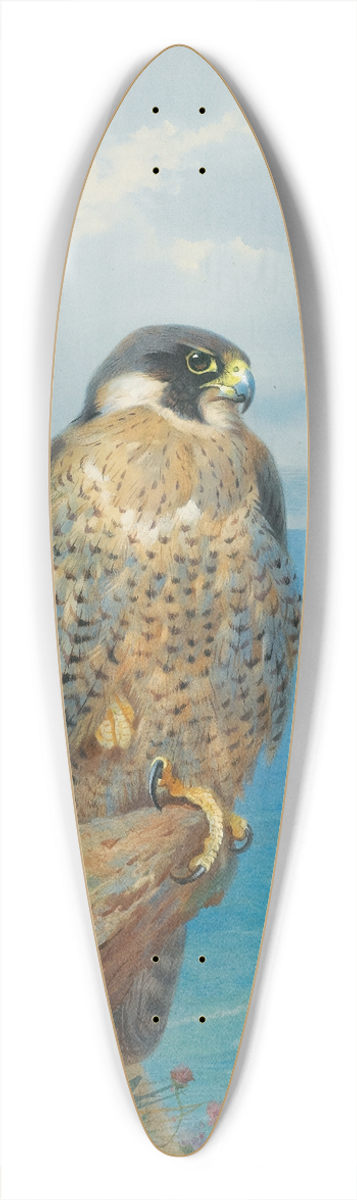 Archibald Thorburn - Peregrine At Auchencairn 39.3 inch art pintail longboard deck