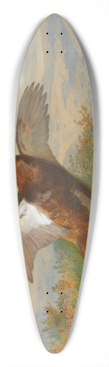 Archibald Thorburn - Red Grouse In Flight 39.3 inch art pintail longboard deck