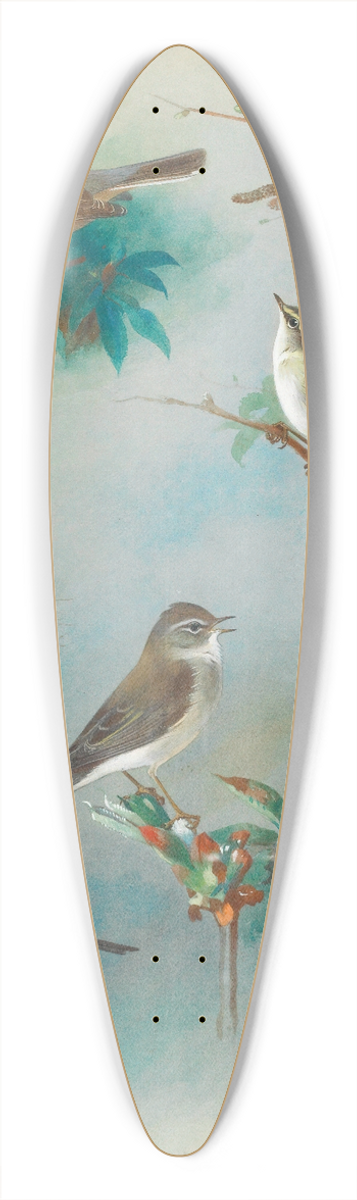 Archibald Thorburn - Warbler And Wrens 39.3 inch art pintail longboard deck