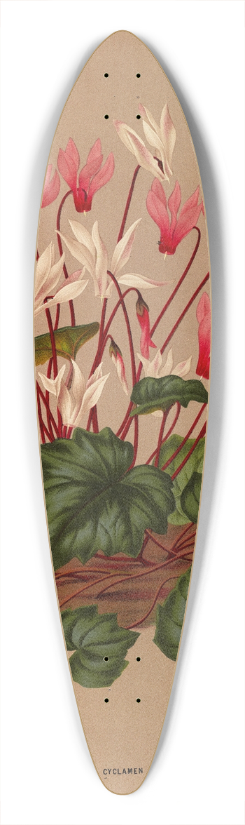 Arentina Hendrica Arendsen - Cyclamen Vernum. Cyclamen Vernum Flore Albo. 39.3 inch art pintail longboard deck