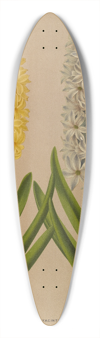 Arentina Hendrica Arendsen - Hyacinths 9 39.3 inch art pintail longboard deck