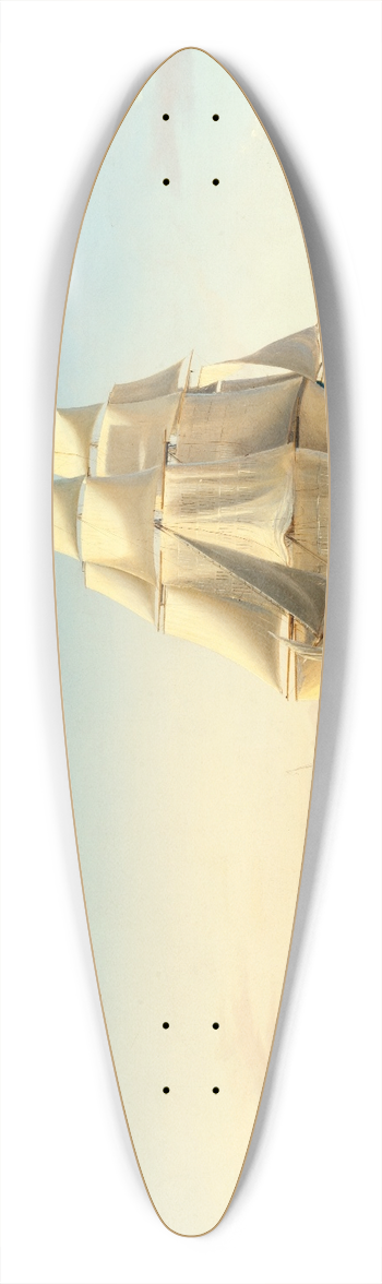 Arnold Plagemann - Seascape 39.3 inch art pintail longboard deck