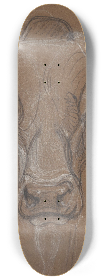 Bernard Willem Wierink - Kop van een Zebu, van voren 8.25 inch art skate deck