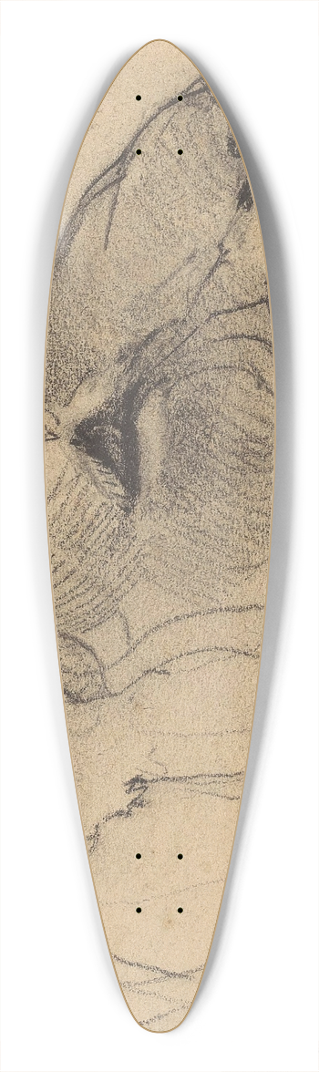 Bernard Willem Wierink - Kop van een leeuwin 39.3 inch art pintail longboard deck