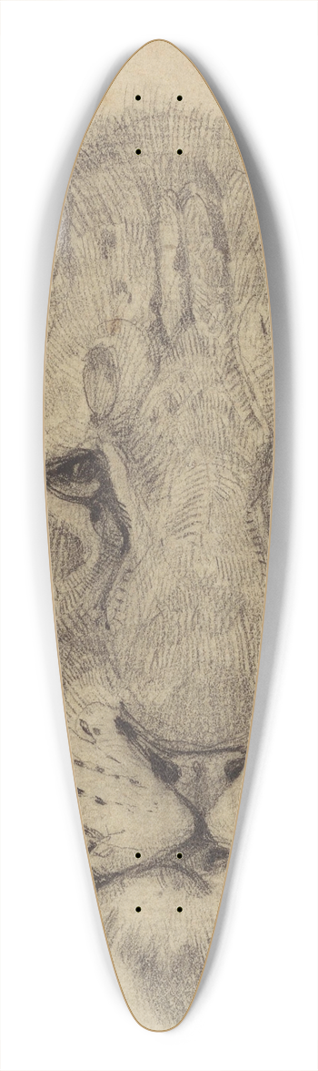 Bernard Willem Wierink - Kop van een leeuwin, van voren 39.3 inch art pintail longboard deck