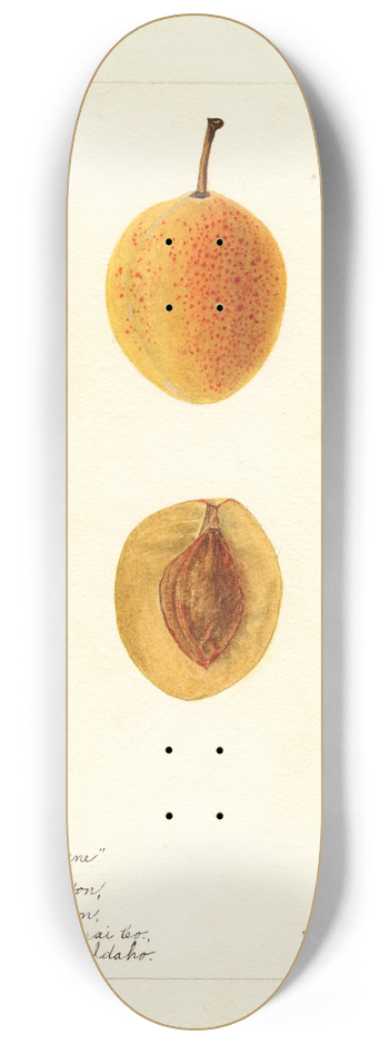 Bertha Heiges - Prunus domestica: Silver Prune 8.25 inch art skate deck