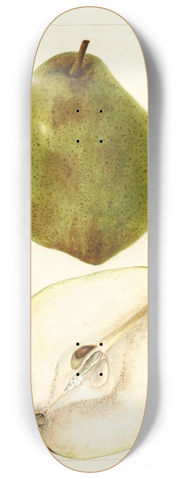 Bertha Heiges - Pyrus communis: Kieffer Most Green 8.25 inch art skate deck