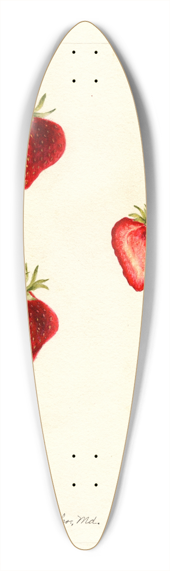 Bertha Heiges - Fragaria: Meeks 39.3 inch art pintail longboard deck
