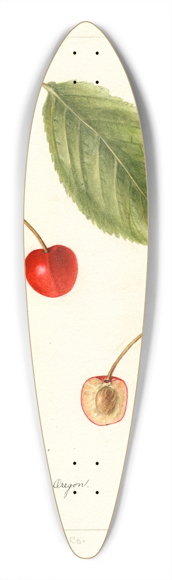 Bertha Heiges - Prunus avium: Socsany White 39.3 inch art pintail longboard deck