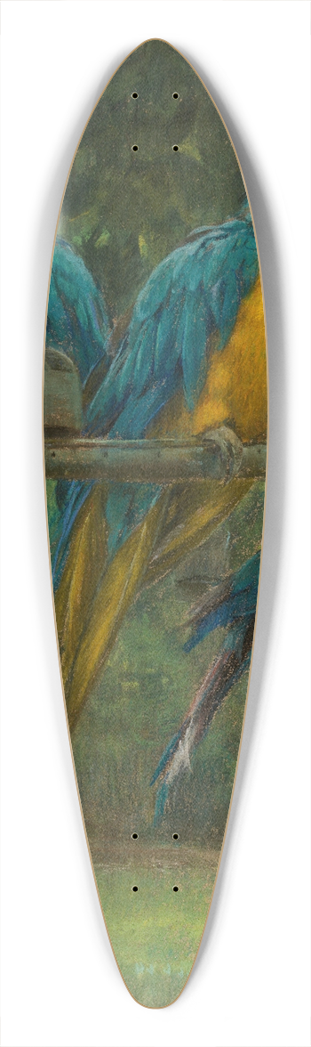 Berthe Art - Blue Macaws 39.3 inch art pintail longboard deck