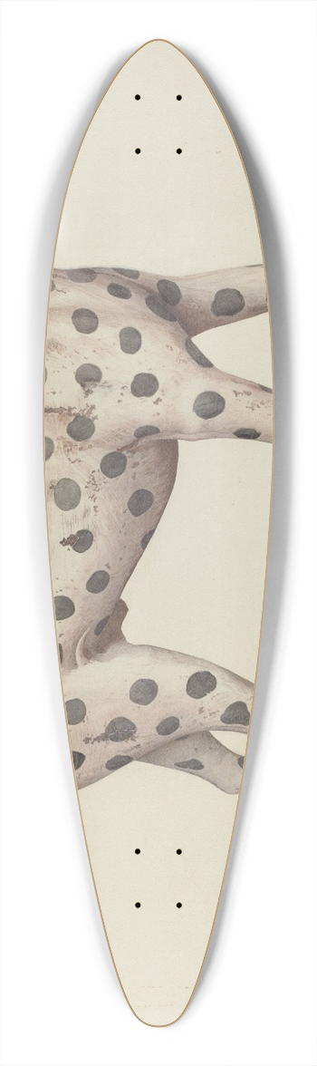 Betty Fuerst - Dalmatian 39.3 inch art pintail longboard deck