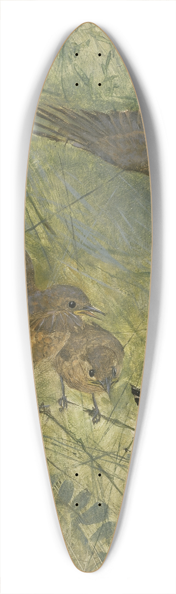 Bruno Liljefors - Redstarts and Butterflies 39.3 inch art pintail longboard deck