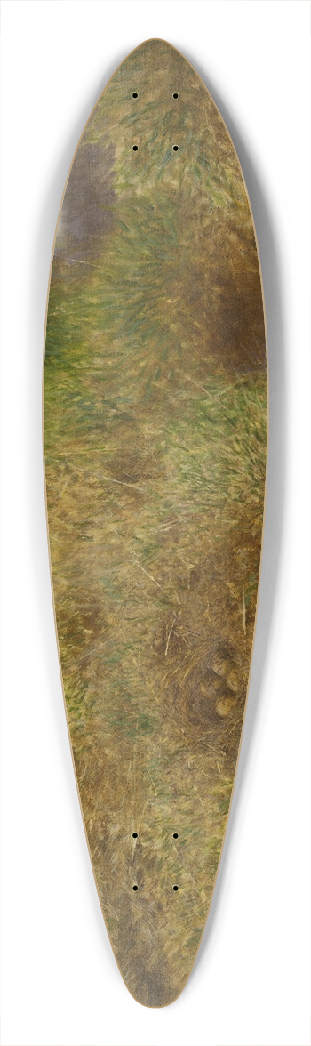 Bruno Liljefors - Snipes Nest 39.3 inch art pintail longboard deck