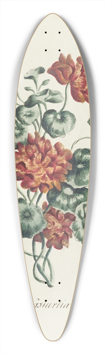 Carington Bowles - Double nasturtian 39.3 inch art pintail longboard deck