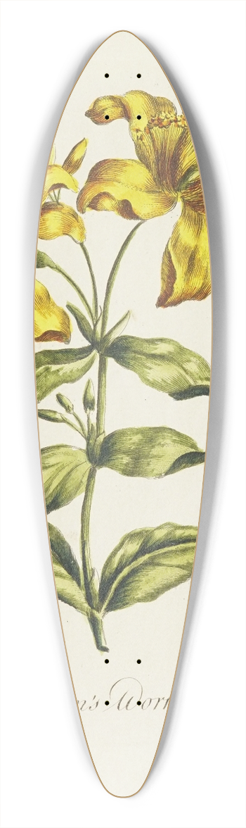 Carington Bowles - St. Johns wort 39.3 inch art pintail longboard deck