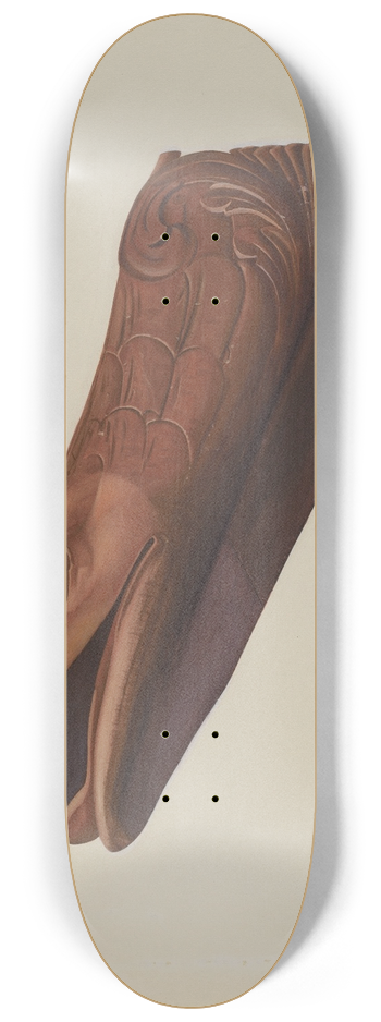 Betty Fuerst - Eagle 8.25 inch art skate deck