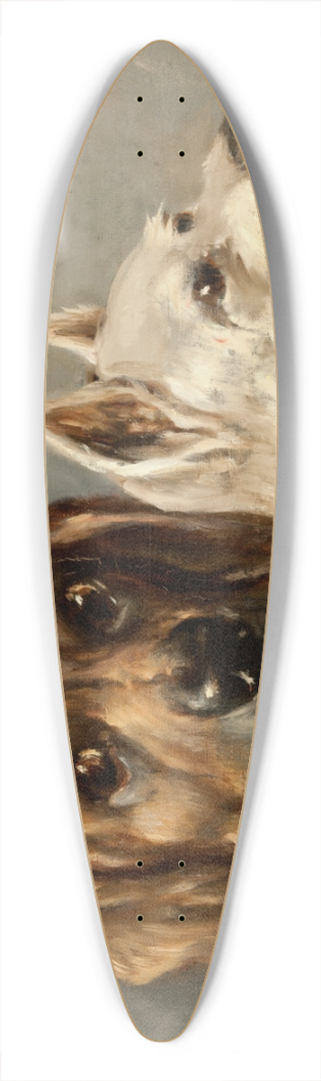Carl Fredrik Kirboe - Dogs 39.3 inch art pintail longboard deck