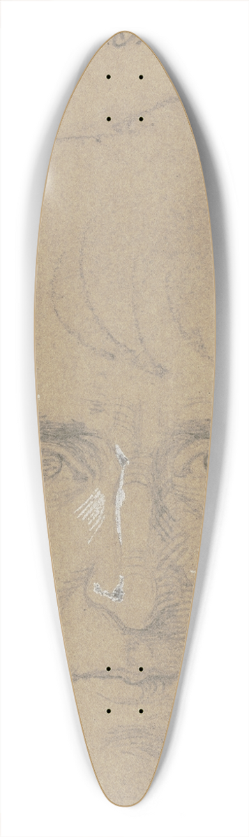 Carl Hoff - Politischer Gefangener aus Hanau zu Kassel 39.3 inch art pintail longboard deck