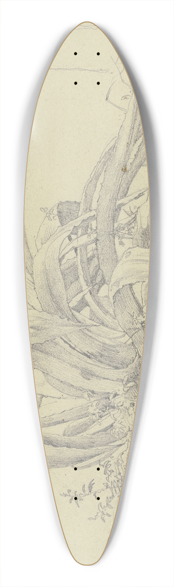 Carl Morgenstern - Pflanzenstudie (Agave) aus der Villa Poniatofski 39.3 inch art pintail longboard deck