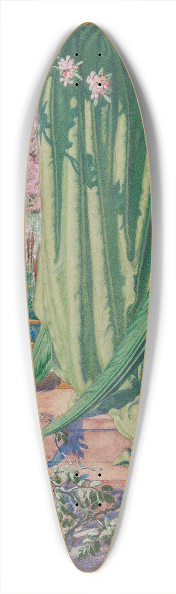 Carlos Schwabe - La Porte dor 39.3 inch art pintail longboard deck