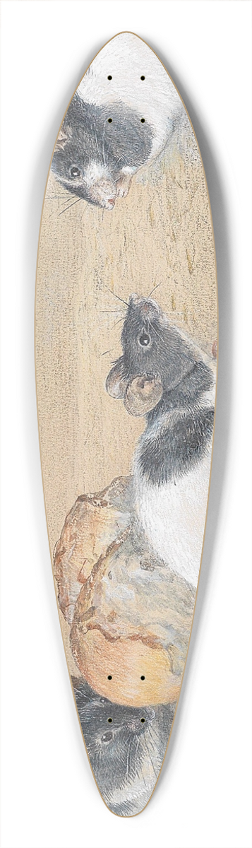 Carl Reichert - Muse 39.3 inch art pintail longboard deck