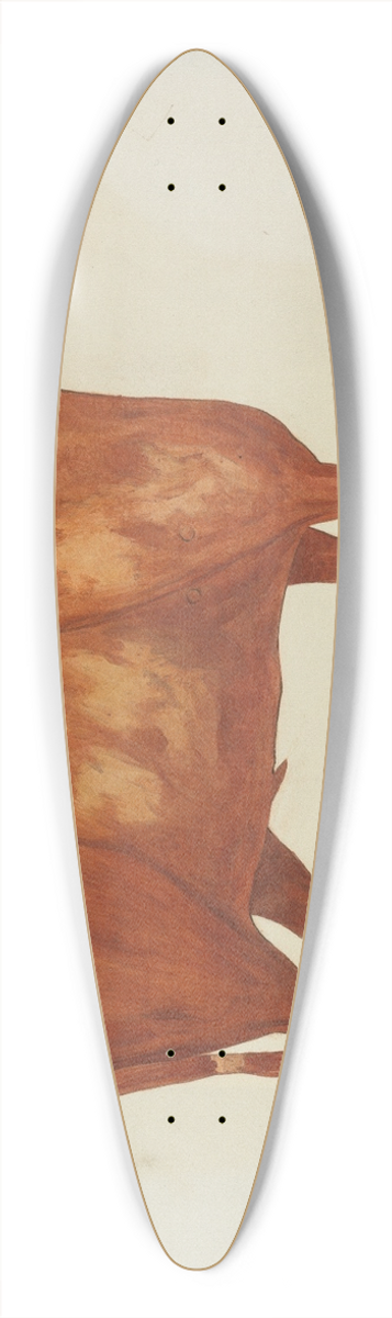 Carl Strehlau - Weather Vane 39.3 inch art pintail longboard deck