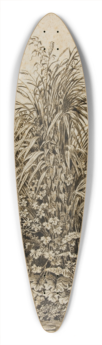Carl Wilhelm Kolbe the elder - Plants at Waters Edge 39.3 inch art pintail longboard deck