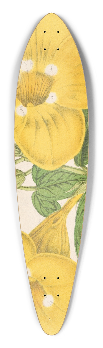 Charles Antoine Lemaire - Allamanda Hendersoni 39.3 inch art pintail longboard deck