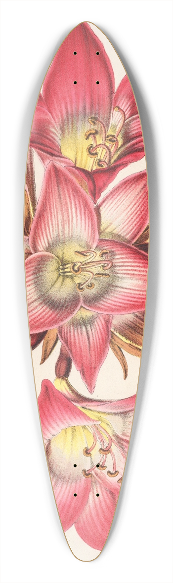 Charles Antoine Lemaire - Amaryllis Belladonna 39.3 inch art pintail longboard deck