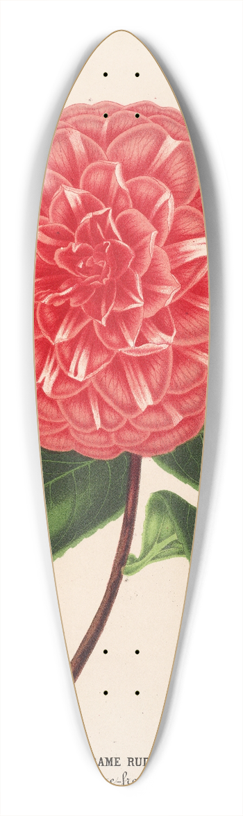 Charles Antoine Lemaire - Camellia Madame Rudolph Abel 39.3 inch art pintail longboard deck