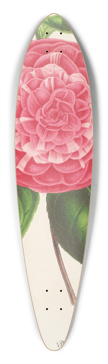 Charles Antoine Lemaire - Camellia Petazzi 39.3 inch art pintail longboard deck
