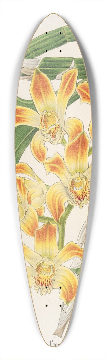 Charles Antoine Lemaire - Chysis lvis 39.3 inch art pintail longboard deck