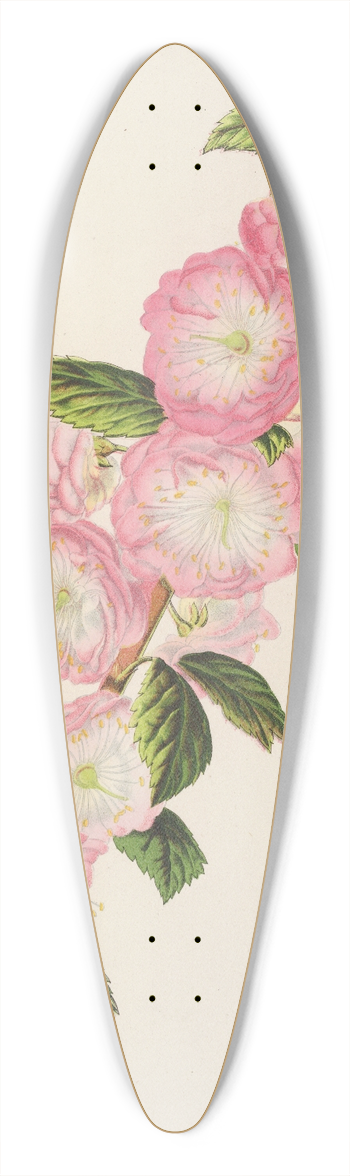 Charles Antoine Lemaire - Prunus triloba 39.3 inch art pintail longboard deck