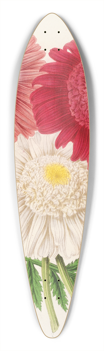 Charles Antoine Lemaire - Pyrethrum 39.3 inch art pintail longboard deck